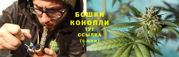 амф Дмитров