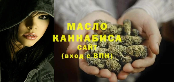 амф Дмитров