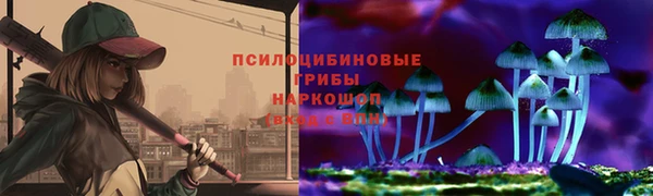 амф Дмитров