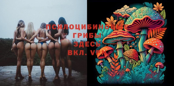 амф Дмитров