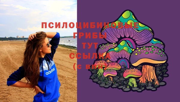 герыч Дмитровск