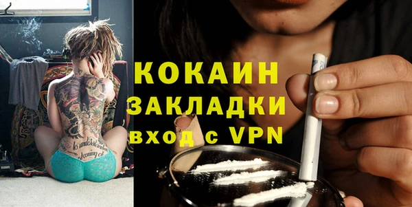 амф Дмитров