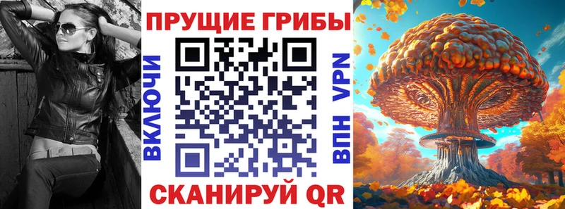 Галлюциногенные грибы мицелий  мега зеркало  Елабуга 