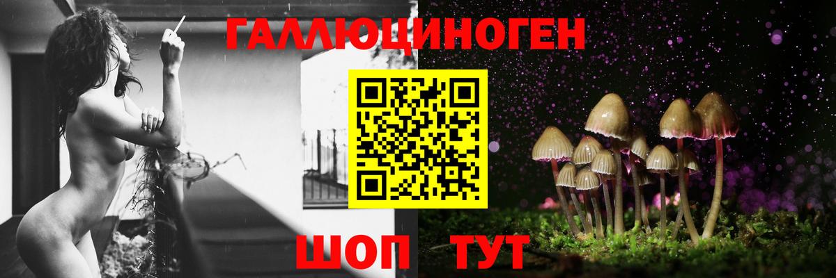 Галлюциногенные грибы мицелий  Вход с VPN  Елабуга 